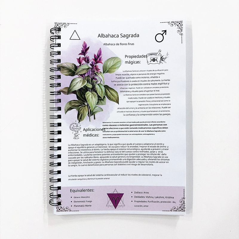 El Libro Perdido de Remedios H – обзор и цена Herbal Wellness Recipes